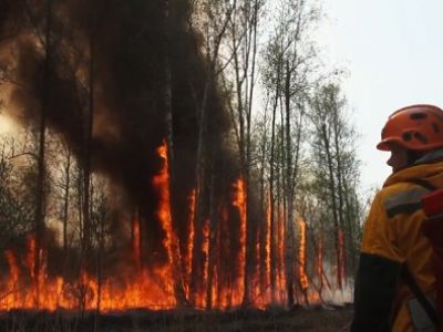 Лесные пожары в Якутии. Фото: пресс-служба Авиалесоохраны/ТАСС