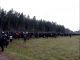 Мигранты в приграничной зоне в Беларуси. Фото: Zerkalo.io