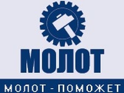 Независимый профсоюз "Молот". Фото: Navigator-tlt.ru