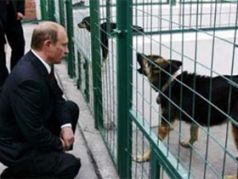 Путин и собака. Фото с сайта newsru.com (с)